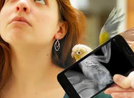 Club Photo-vidéo ENVL