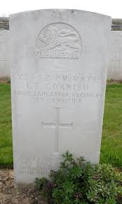 Search for " Cornish"