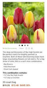 Pin By Aija Vesterinen On Tulips Daffodils Big Blooms Long Lasting Flower Red Blossoms