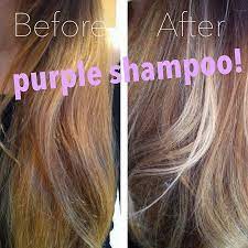 Fudge Violet Toning Shampoo Review Cheveux Gris Shampoing Coiffure
