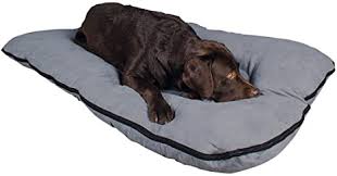 Say hi to chanel the cinnamon roll. Srastvane Hapche Korekciya Cuscini Cuccia Per Cani Amazon Bbssolutions Net