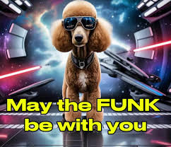 Big shoutout to our Funky Groomer @Laurel Bise Newman !