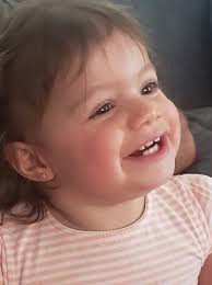 UPDATE : BIG BIRD HAS BEEN FOUND A WONDERFUL SCS FAMILY PUT HIM ON THEIR  FENCE ! WE HAD A LIL SEARCH PARTY OUT LOOKING AND HE WAS A BLOCK AWAY !!