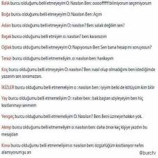 Ulku Ulgur Adli Kullanicinin Burclar Panosundaki Pin Basak Burcu Oglak Burcu Burclar