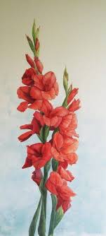 Red Gladioli Gladiolus Tattoo Flower Painting Flower Drawing