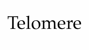 I think i heard it used in the american tv show how i met your mother. How To Pronounce Telomere And Why It Should Be In Your Vocabulary Deseret News