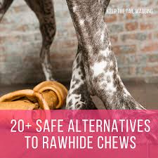 20 Safe Alternatives To Rawhide Chews Keep The Tail Wagging