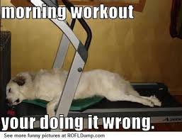 amusing morning workout meme joke