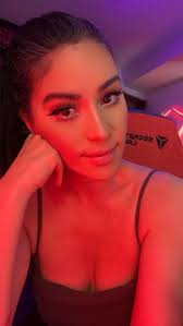 Yunalescka: "Not in the best mood mentally but streaming always helps. Just  worried for Zelda since she isn't doing so well. 😔 Let's play Khazan!  Gotta finish this so I can continue