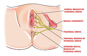 Discover the perineum's hidden erogenous zone
