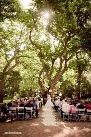 World S Most Incredible Wedding Aisles Shireen Louw Wedding Photographer Cape Town Cape Town Wedding Venues Forest Wedding Wedding Aisle
