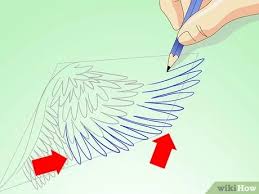 All the fingers are connected with each other and the body with a membrane. How To Draw Angel Wings 14 Steps With Pictures Wikihow