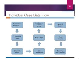 Pharmacovigilance Process Work Flow Katalyst Hls