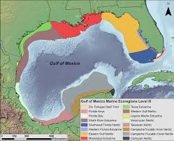 An atlantic ocean basin extending into southern north america. Habitats And Biota Of The Gulf Of Mexico An Overview Springerlink