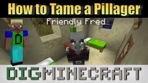 Cactus naturally generate in desert and badland biomes. How To Tame A Pillager In Minecraft
