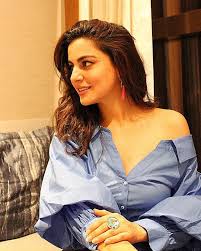 Aditya Rohan (ravishank252)