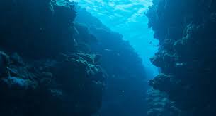 Features banking without any bank account round the clock cash withdrawal facility worldwide at large mastercard atm network Aqua