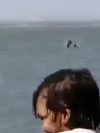 Couple filmed having sex in the ocean get slapped with fine