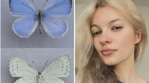Lepidopterist Harry Pavulaan has named a newly discovered butterfly  “Iryna's Azure” to ensure Iryna Zarutska's name is never forgotten. "When I  saw the story break... I'm 70 years old and I'm still