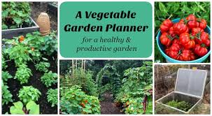 For example, even just one plant can be super affordable (think $3 to $5) and provide up to 10 pounds of tomatoes over the season (which can easily run you $20 or more). A Vegetable Garden Planner For High Yields Healthy Plants