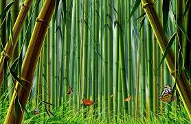 The knuckles from the stalk appear in the graining, preserving the authentic look of the grass. Hd Wallpaper Bamboo Forest Illustration Grass Butterfly Nature Bamboo Plant Wallpaper Flare