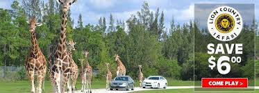 Save 6 00 Off Each Admission To Lion Country Safari Drive Thru Safari Over 1 000 Animals Roaming Free Https Www Destinationc Florida Best Savings West Palm