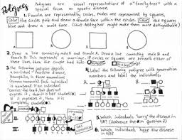 86 and 3 years and 11 months 5. Genetic Pedigree Worksheets Teaching Resources Tpt