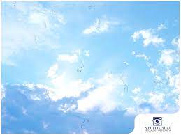 Describe flashes of light, a profusion of floaters, or sometimes partial blindness when their retina tears or slips. Eye Floaters And Flashes When There May Be Trouble Ahead