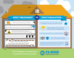 Compare homeowner reviews from 9 top los angeles termite control services. Drywood Termite Company Drywood Termites Termite Control Termites