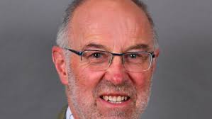 They need to be removed': no hope of Tombland trees u-turn