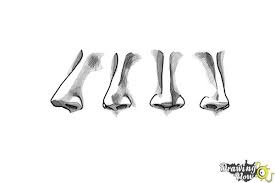 How to draw a nose step by step for beginners. How To Draw A Female Nose Drawingnow