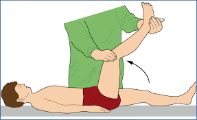 Image result for Crossed-Leg Test