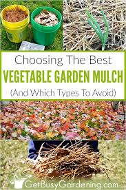 Choosing The Best Mulch For Vegetable Gardens Mulch For Vegetable Garden Types Of Mulch Garden Mulch