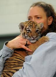 Fundraising gala for zoo