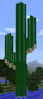 They're quite easy to find. Giant Cactus On Minecraft By Afifi96 On Deviantart