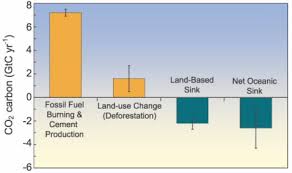 sources and sinks american chemical