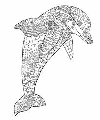 Sasanqua camellias like this one can bloom into the winter, depending on your location. Realistic Dolphin Coloring Pages Winter Peepsburgh