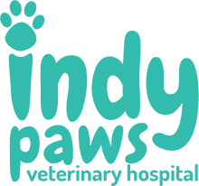 27 reviews of 4 paws animal clinic finding a good veterinarian is like finding a good doctor, i tend to stick with referrals from friends, colleagues and other doctors. Animal Clinic Pet Hospital In Indianapolis In 46219 Marion County Indiana Pet Practice
