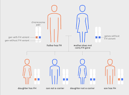 Image result for Hypercholesterolemia