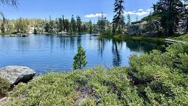 No. CA: Lochs and Lemon Drops