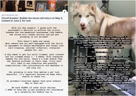 Check spelling or type a new query. As Bubble Tea Shops Hog Limelight Pet Groomer Asks What About Grooming Services Singapore News Asiaone