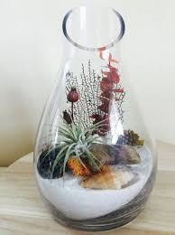 Diy Sand Art Terrarium Ideas Projects Everyone Will Love 21 Terrariums Kits Air Plant Terrarium Succulent Terrarium