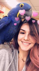 You asked, we delivered 🦜 Check out Jack and Little Girl, our Hyacinth  Macaws, along with Connie the African Grey Parrot, “helping” behind the  scenes. Can you tell who is who yet?