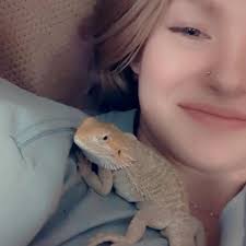 Is this a high enough basking spot for my bearded dragon?