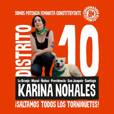 Cuña ingrid conejeros, candidata constituyente mapuche. Feministas Y Plurinacionales Nueve Candidatas Constituyentes Rebelion
