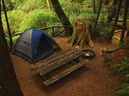 Experience awe with a trip to redwood national park. Top 10 Things To Do In Redwood National Park California Travel Inspiration