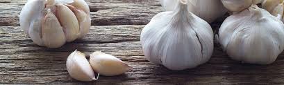 Diminuer Son Taux De Cholesterol Grace A L Ail C Est Possible