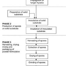 13 Flow Chart Of Process For Producing Powder Formulation