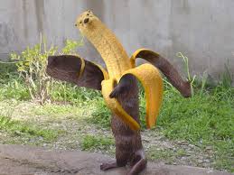 Though this is looking funny photoshopped animals, at the same time very awkward too. Photoshop Animals Banana And Otter Banotter Photoshop Tricks Com