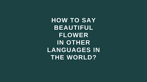 It would be so wonderful if we knew how to express the word 'beautiful' in the language spoken in a particular part of the world. How To Say Beautiful Flower In Other Languages In The World Live Sarkari